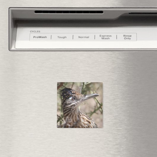 Greater Roadrunner Magnet (In Situ (Geschirrspüler))