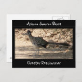 Greater Roadrunner Postkarte (Vorne/Hinten)