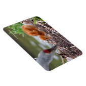 Greater Sandhill Crane Vater und Kind Magnet (Rechte Seite)