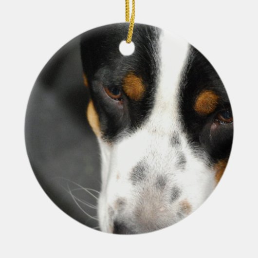 greater-swiss-mountain-dog-1.jpg keramikornament (Vorne)
