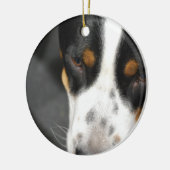 greater-swiss-mountain-dog-1.jpg keramikornament (Links)