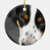 greater-swiss-mountain-dog-1.jpg keramikornament (Hinten)