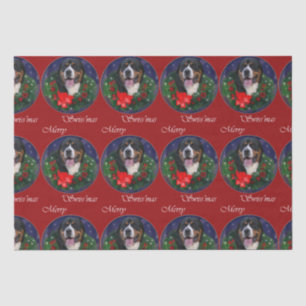 Greater Swiss Mountain Dog ChristmasTissue Seidenpapier