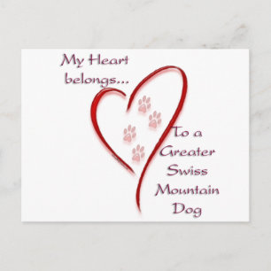 Greater Swiss Mountain Dog Heart Belongs Postkarte