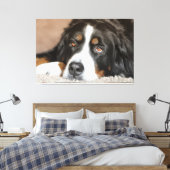 Greater Swiss Mountain Dog Leinwanddruck (Insitu (Schlafzimmer))