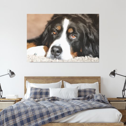 Greater Swiss Mountain Dog Leinwanddruck (Insitu (Schlafzimmer))