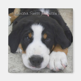 Greater Swiss Mountain Dog Magnet