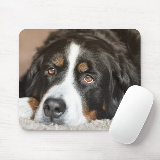 Greater Swiss Mountain Dog Mousepad (Mit Mouse)