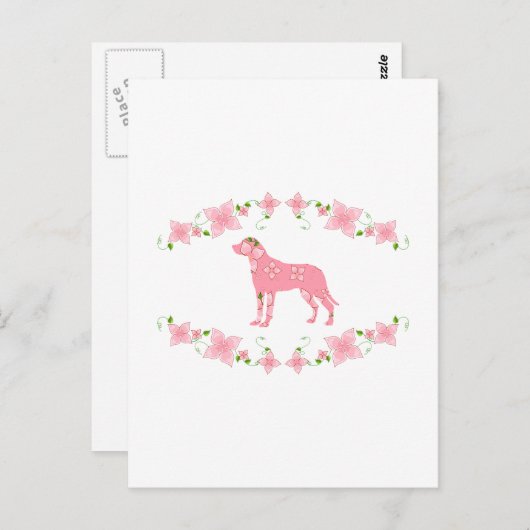 Greater Swiss Mountain Dog Postkarte (Vorne/Hinten)