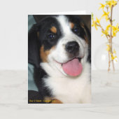 Greater Swiss Mountain Dog Puppy Karte (Gelbe Blume)