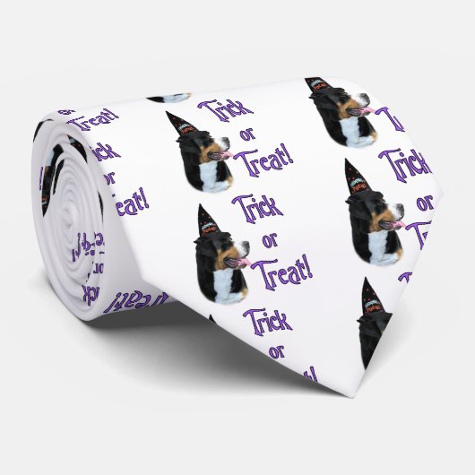 Greater Swiss Mountain Dog Trick Krawatte (Gerollt)