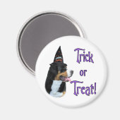 Greater Swiss Mountain Dog Trick Magnet (Vorderseite/Rückseite)