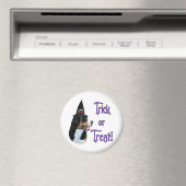 Greater Swiss Mountain Dog Trick Magnet (In Situ (Geschirrspüler))