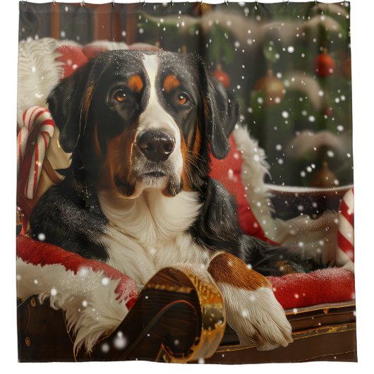 Greater Swiss Mountain Dog Weihnachten Duschvorhang (Vorderseite)