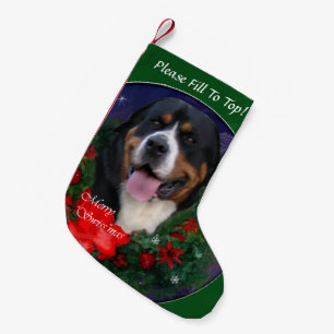 Greater Swiss Mountain Dog Weihnachten Kleiner Weihnachtsstrumpf