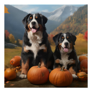 Greater Swiss Mountain Pup Herbstfreude Kürbis Poster