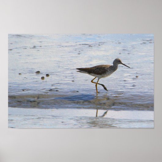 Greater Yellow Legs Bird Poster (Vorne)