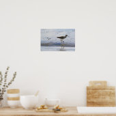 Greater Yellow Legs Bird Poster (Küche)