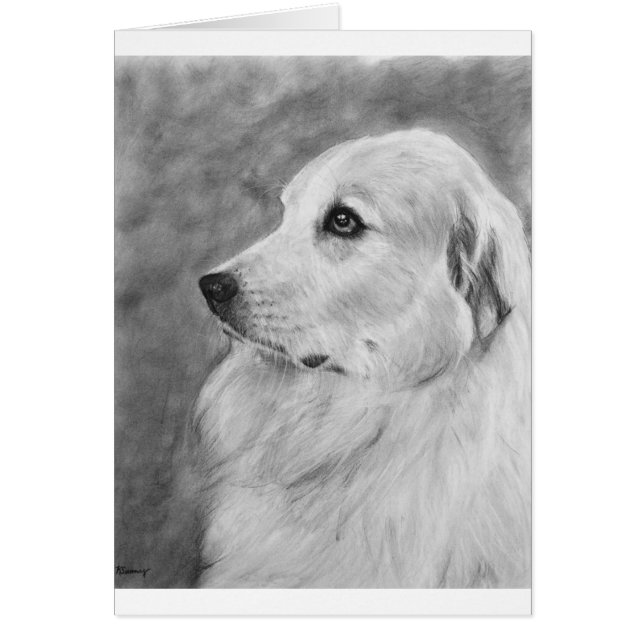 GreatPyreneese.jpg (Vorne)