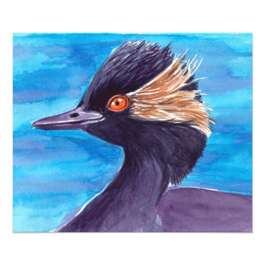 Grebe Fotodruck (Vorne)