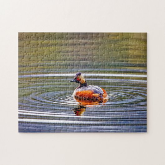 Grebe Montana zugewandt. Puzzle (Horizontal)
