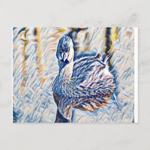 Grebe Postkarte