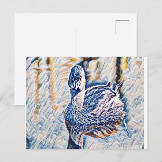 Grebe Postkarte (Vorne/Hinten)