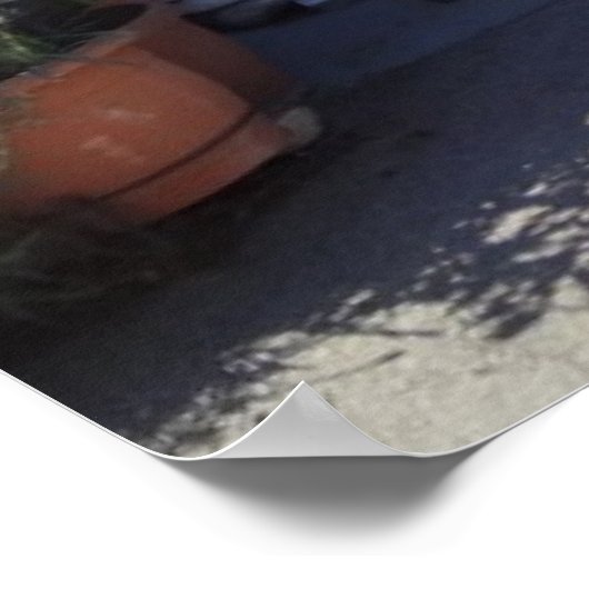 Grecian House Poster (Ecke)