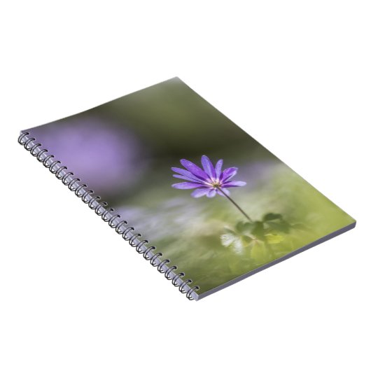 Grecian windblume Nature Foto Notizblock (Rechte Seite)