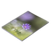 Grecian windblume Nature Foto Notizblock (Linke Seite)