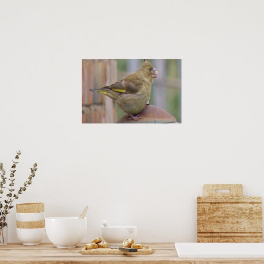 Greedy Greenfinch Print Poster (Küche)