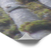 Greedy Magpie Print Poster (Ecke)