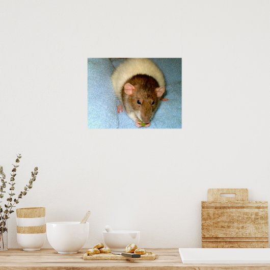 Greedy Rat Poster (Küche)