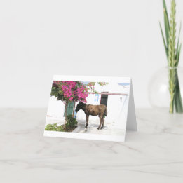 GreekIslandHouse.com-Esel-Maskottchen Opa! Karte