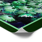 Green African Daisy Blume Abstrakt Poster (Ecke)