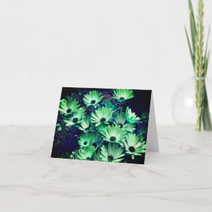 Green African Daisy Blume Note Card Dankeskarte