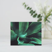 Green Agave Attenuata Laptop Postkarte (Stehend Vorderseite)