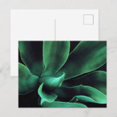 Green Agave Attenuata Laptop Postkarte (Vorne/Hinten)