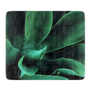 Green Agave Attenuata Schneidebrett