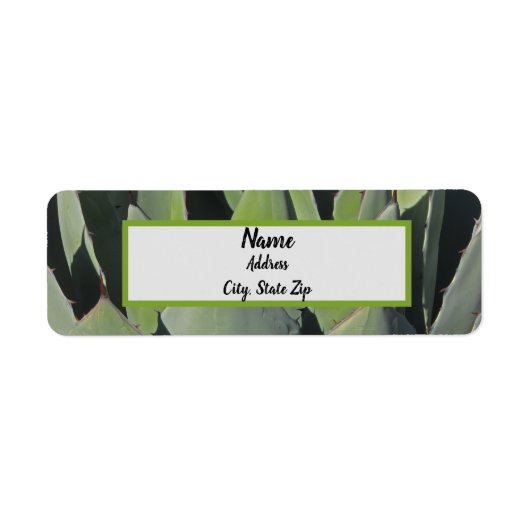 Green Agave Blätter Botanisches Foto Südwesten (Vorne)