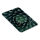 Green Agave Magnet (Rechte Seite)