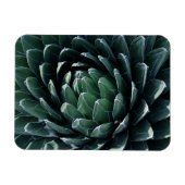 Green Agave Magnet (Horizontal)
