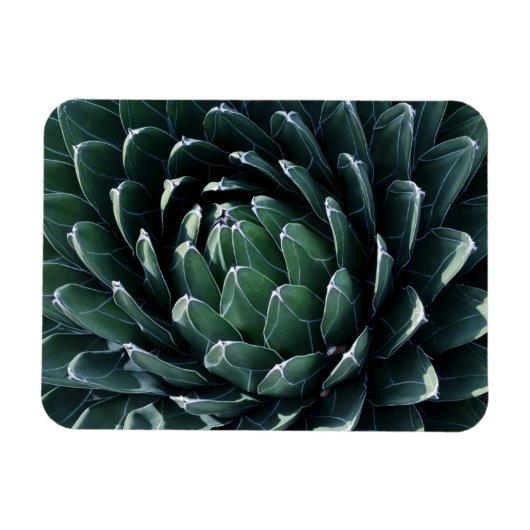 Green Agave Magnet (Horizontal)