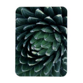 Green Agave Magnet (Vertikal)