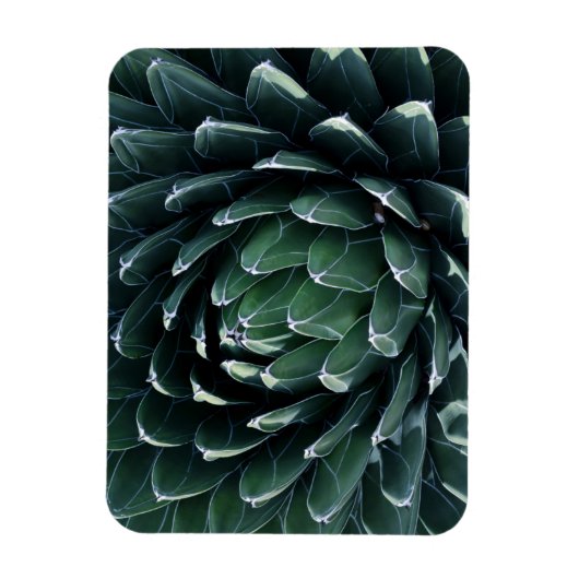 Green Agave Magnet (Vertikal)