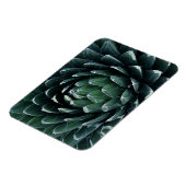 Green Agave Magnet (Linke Seite)