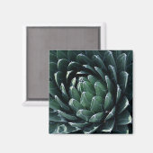 Green Agave Magnet (Vorderseite/Rückseite)