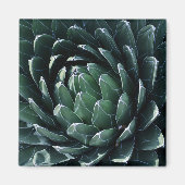 Green Agave Magnet (Vorne)