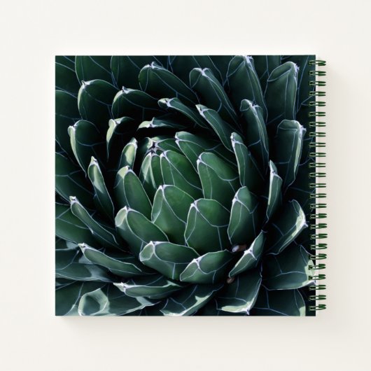 Green Agave Notizblock (Rückseite)