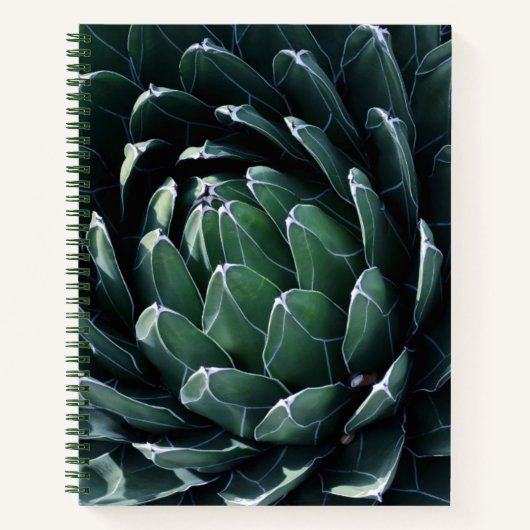 Green Agave Notizblock (Vorderseite)